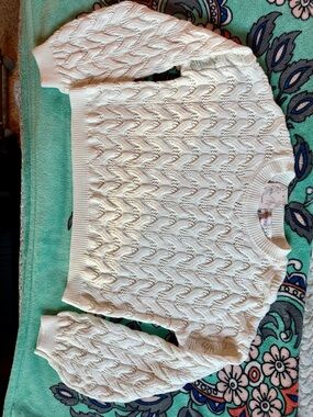 Willow & Wind Cable Knit Crewneck Sweater